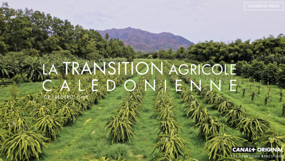 Le documentaire "Transition agricole calédonienne" bientôt sur CANAL+ Calédonie