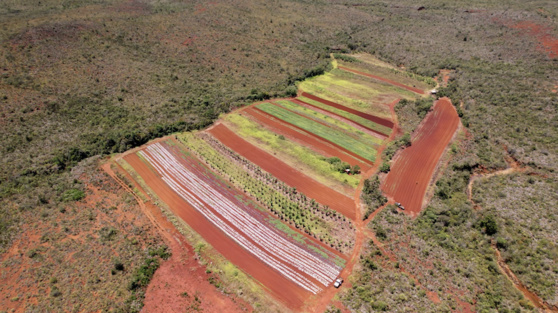 Le documentaire "Transition agricole calédonienne" bientôt sur CANAL+ Calédonie