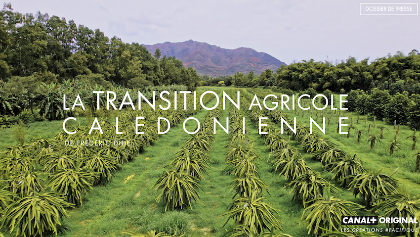 Le documentaire "Transition agricole calédonienne" bientôt sur CANAL+ Calédonie