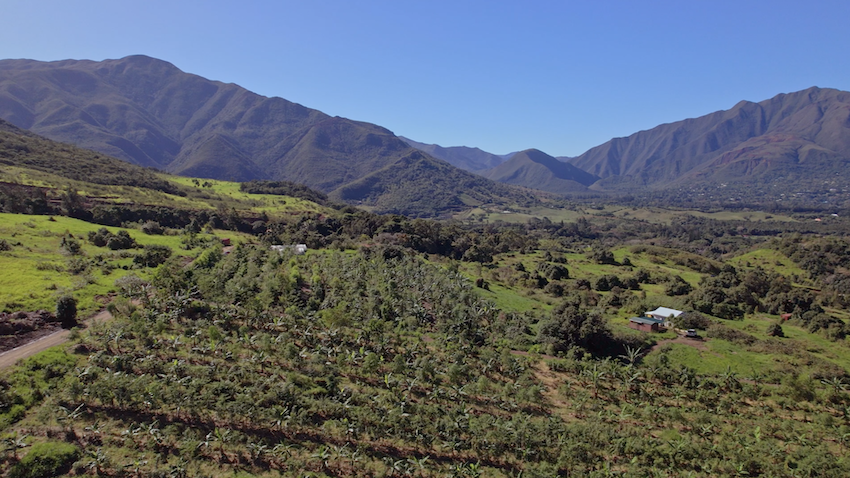 Le documentaire "Transition agricole calédonienne" bientôt sur CANAL+ Calédonie