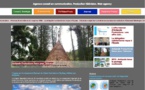 Votre site web clé en main : 