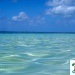 Nature36