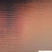 Nature25