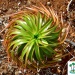Nature19