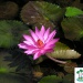 PICT0188
