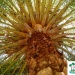 1arbre-nature131